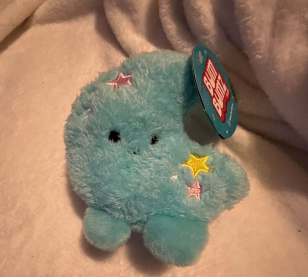BumBumz WeatherBumz Mason Bean Plush - .com,